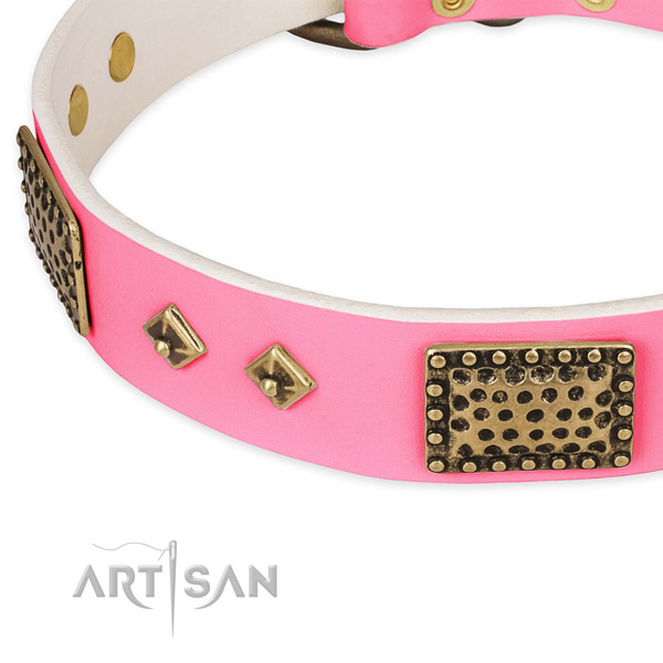 Genuine leather dog collar with adornments for daily walking