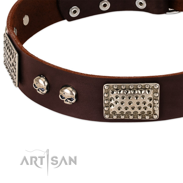 Rust-proof studs on full grain genuine leather dog collar for your dog