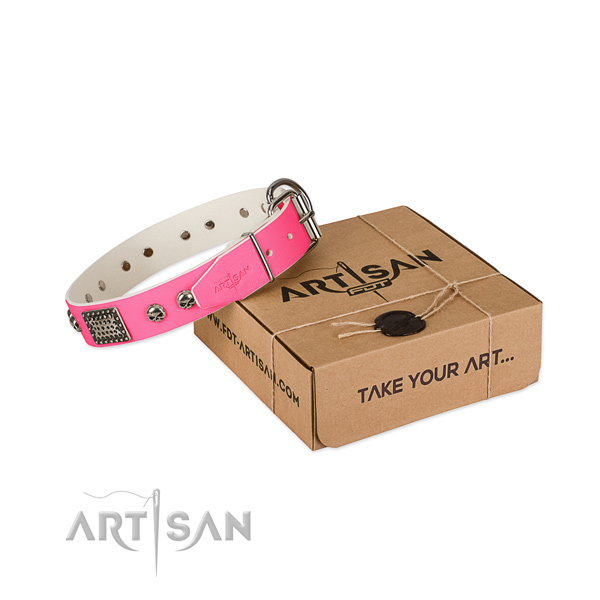 Reliable buckle on dog collar for walking