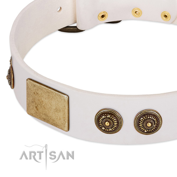 Stunning dog collar made for your impressive canine