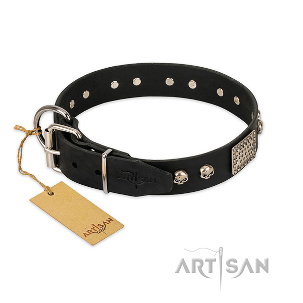 Rust resistant decorations on everyday use dog collar