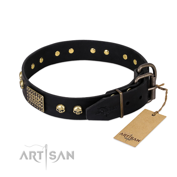 Durable embellishments on walking dog collar