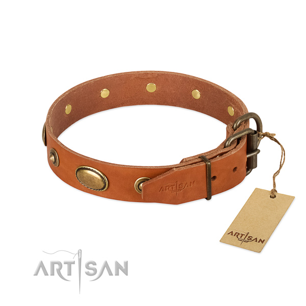 Rust resistant decorations on genuine leather dog collar for your pet