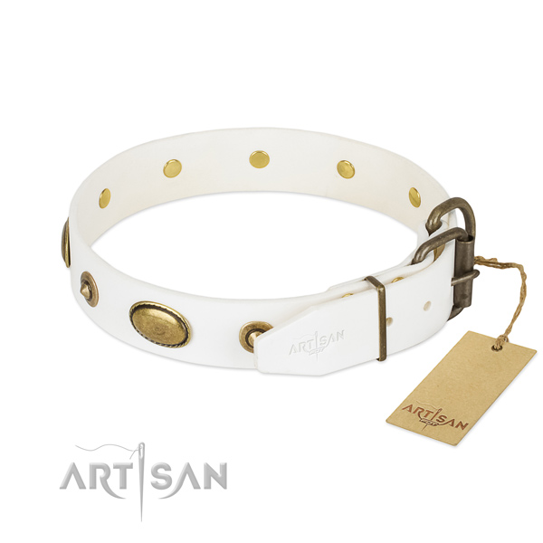 Durable embellishments on natural leather dog collar for your dog