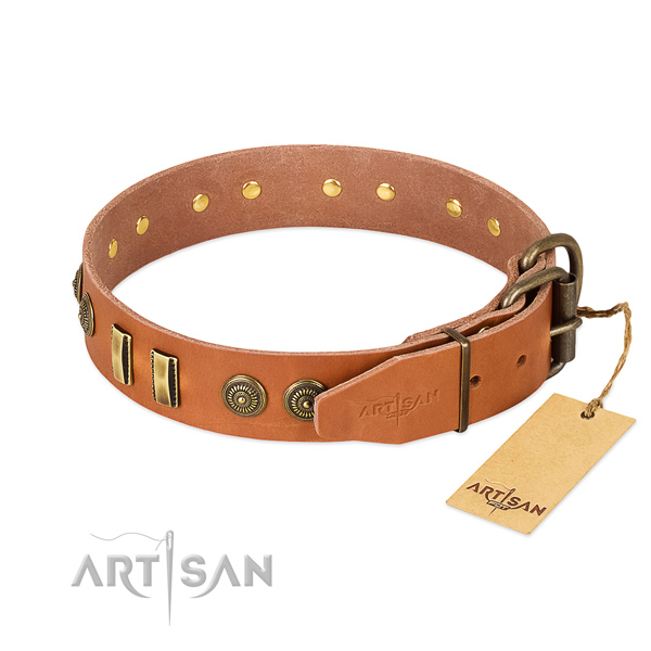 Corrosion proof fittings on leather dog collar for your pet