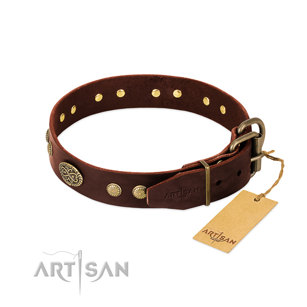 Corrosion proof fittings on Genuine leather dog collar for your dog
