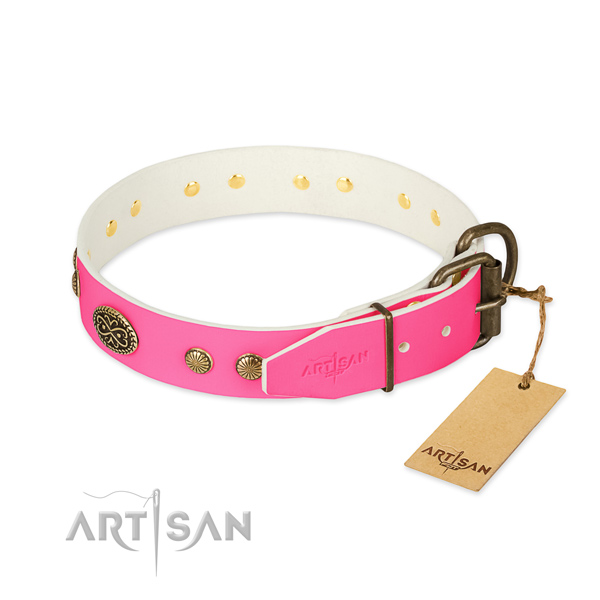 Rust-proof adornments on natural leather dog collar for your four-legged friend