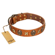 "Rockin' Doggie" FDT Artisan Tan Leather Rottweiler Collar Adorned with Stars and Skulls