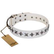 "Midnight Stars" FDT Artisan Fashionable Leather Rottweiler Collar with Old Silver-like Plated Decorations "Midnight Stars" FDT Artisan Fashionable Leather Rottweiler Collar with Old Silver-like Plated Decorations