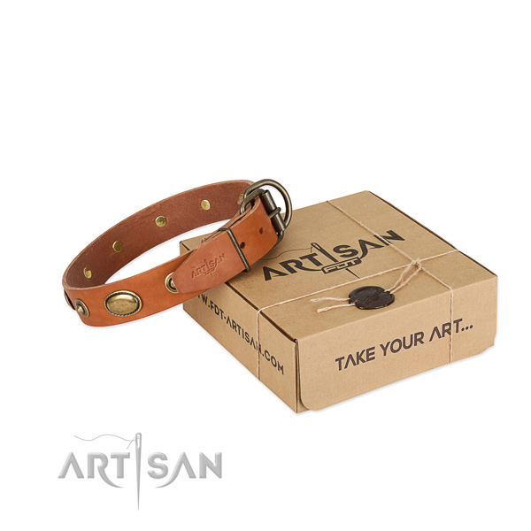 Corrosion resistant hardware on leather dog collar for your canine