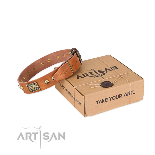 Rust-proof buckle on dog collar for comfortable wearing