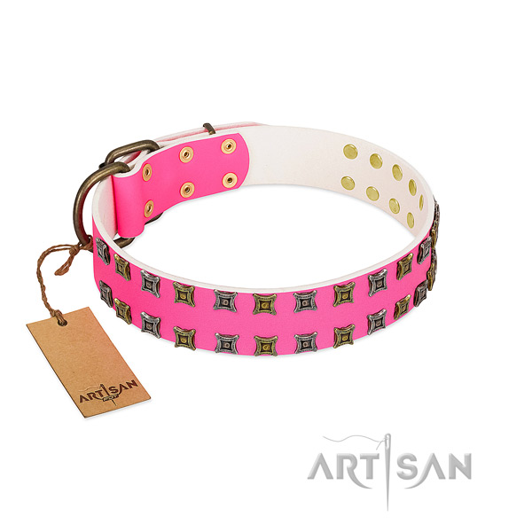 Full grain genuine leather collar with inimitable studs for your pet