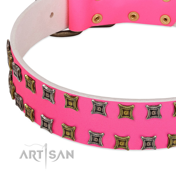 Genuine leather dog collar with studs for your impressive pet