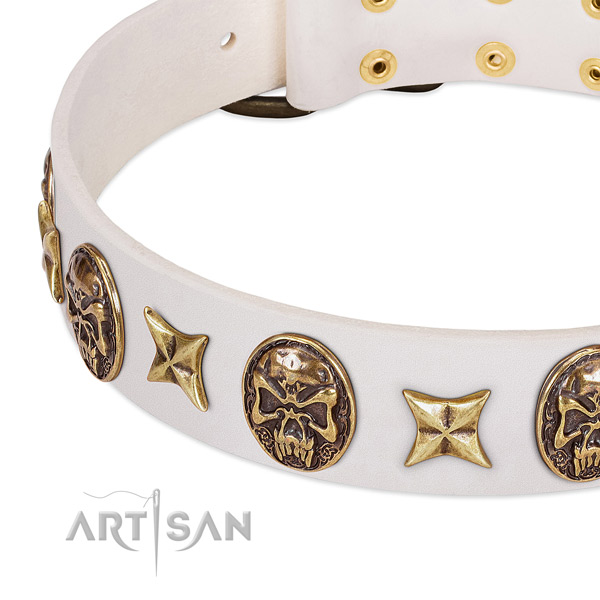 Unusual dog collar created for your attractive pet