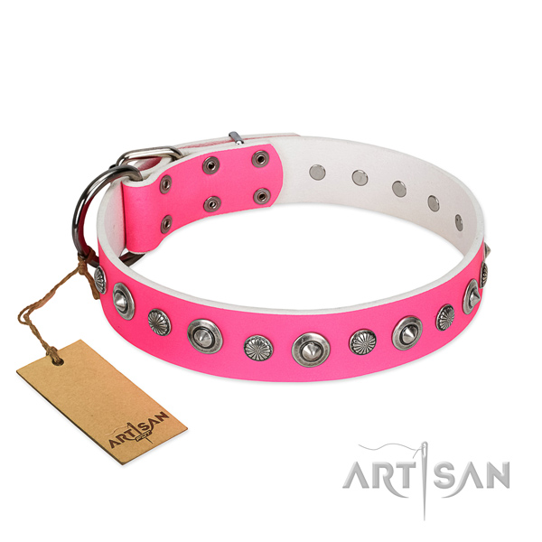 Top notch genuine leather dog collar with extraordinary adornments