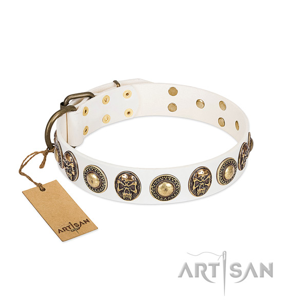 Adjustable leather dog collar for basic training your canine