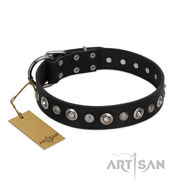 Best quality full grain leather dog collar with amazing embellishments