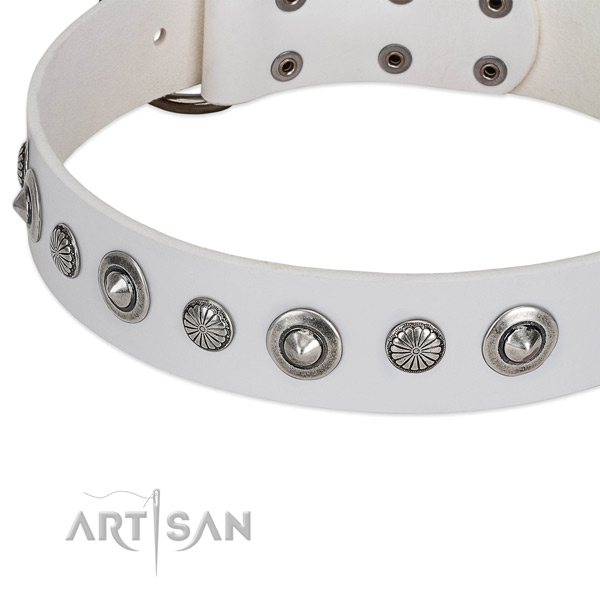 Full grain leather collar with corrosion proof traditional buckle for your handsome four-legged friend