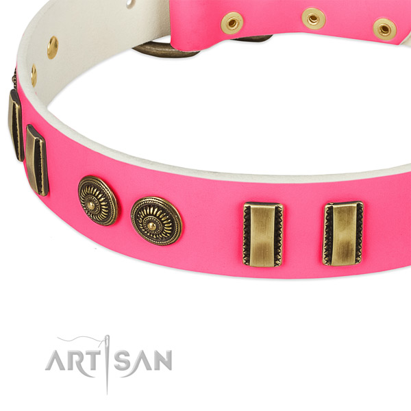 Corrosion resistant traditional buckle on full grain natural leather dog collar for your dog