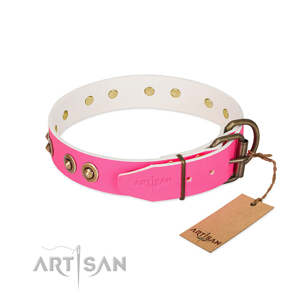 Full grain genuine leather dog collar with reliable fittings and adornments