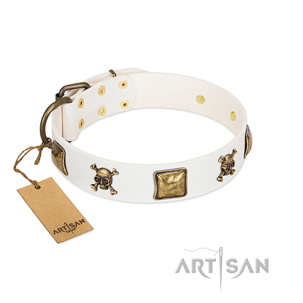Incredible full grain genuine leather dog collar with durable adornments