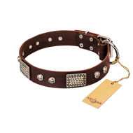"Pirate Skull" FDT Artisan Brown Leather Rottweiler Collar with Old Silver Look Plates and Skulls "Pirate Skull" FDT Artisan Brown Leather Rottweiler Collar with Old Silver Look Plates and Skulls