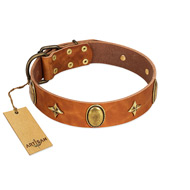"Space Warrior" FDT Artisan Tan Leather Rottweiler Collar with Ovals and Stars