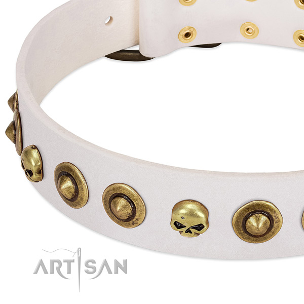 Trendy embellishments on full grain natural leather collar for your four-legged friend