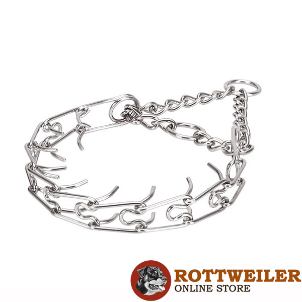 Stainless steel prong collar with reliable O-rings for attaching a leash