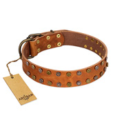 "Walk and Shine" FDT Artisan Tan Leather Rottweiler Collar with Antiqued Studs