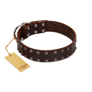 "Star Party" Handmade FDT Artisan Brown Leather Rottweiler Collar with Silver-Like Studs