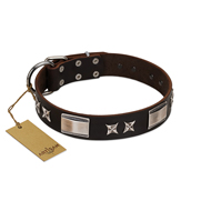 "Satin Beauts" FDT Artisan Brown Leather Rottweiler Collar with Stars and Plates