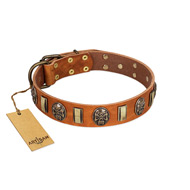 "Strike of Rock" FDT Artisan Tan Leather Rottweiler Collar with Plates and Medallions with Skulls