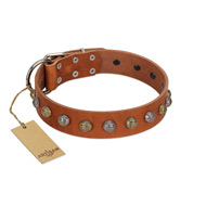 "Dogue-Vogue" FDT Artisan Tan Leather Rottweiler Collar with Engraved Chrome-plated Studs