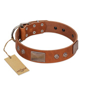 "Great Obelisk" Handcrafted FDT Artisan Tan Leather Rottweiler Collar with Large Plates and Pyramids