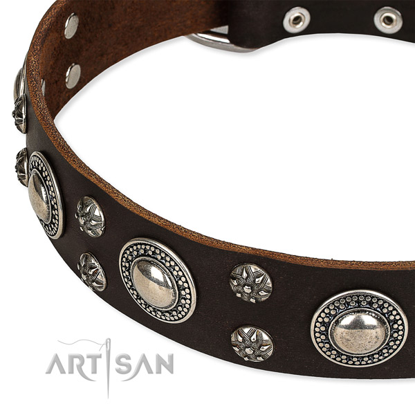 Adjustable leather dog collar with almost unbreakable brass plated buckle and D-ring