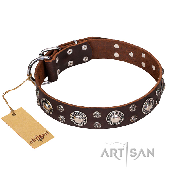 Long-wearing leather dog collar with rust-resistant fittings
