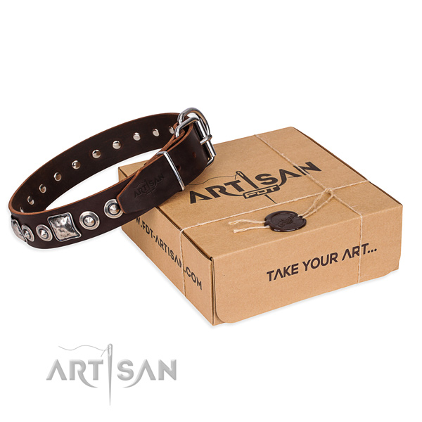 Designer genuine leather dog collar for stylish walking