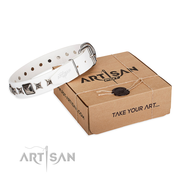 Fine quality full grain natural leather dog collar for everyday use