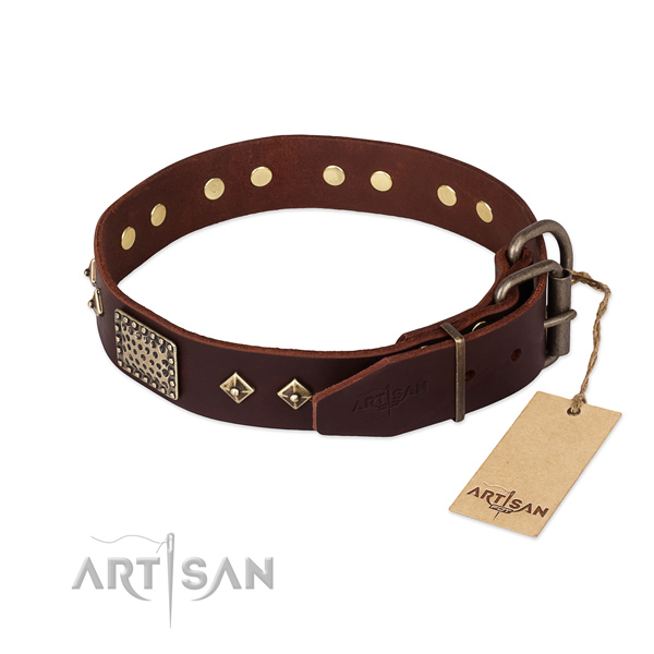 Handy use full grain natural leather collar with embellishments for your canine