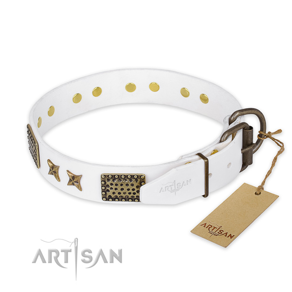 Walking genuine leather collar with decorations for your canine
