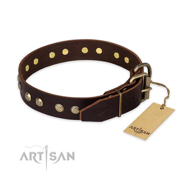 Stylish walking leather collar with studs for your dog