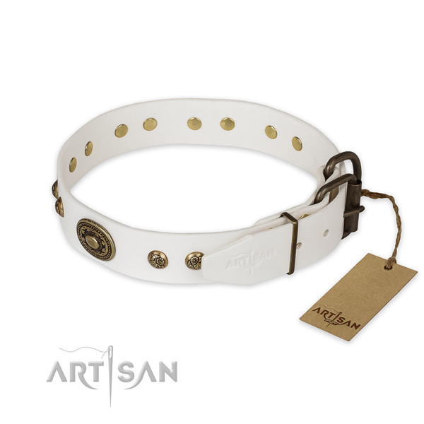 Stylish walking genuine leather collar with embellishments for your four-legged friend