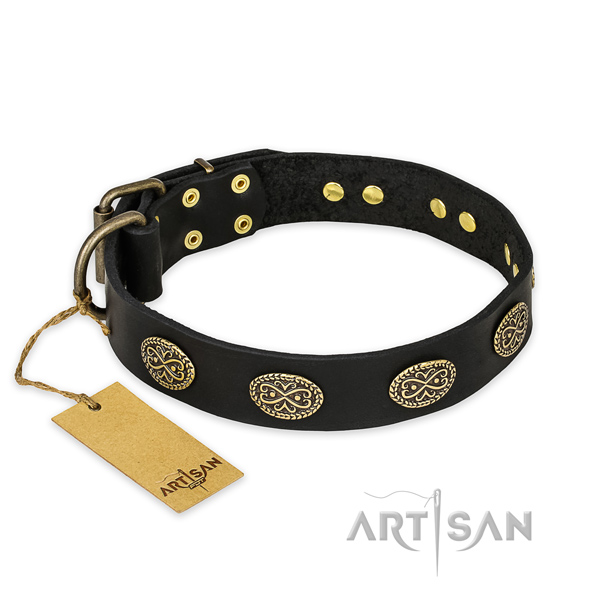 Everyday walking full grain genuine leather collar with embellishments for your doggie