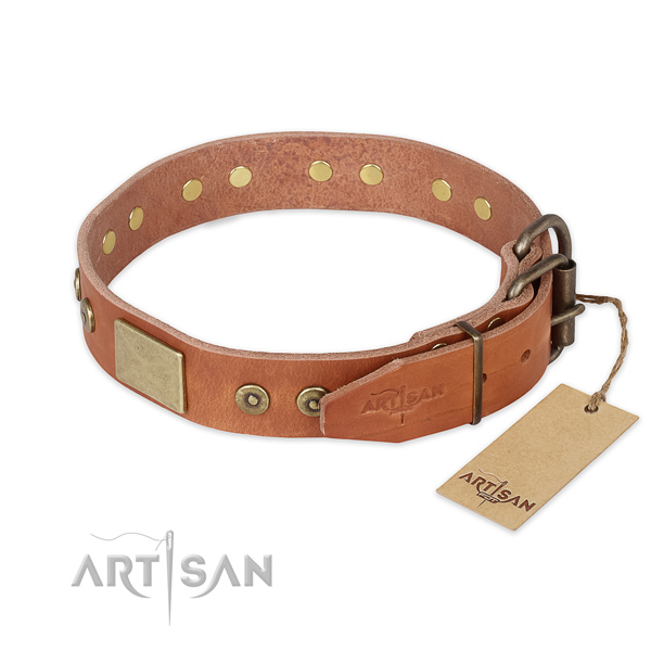 Everyday use full grain natural leather collar with studs for your doggie