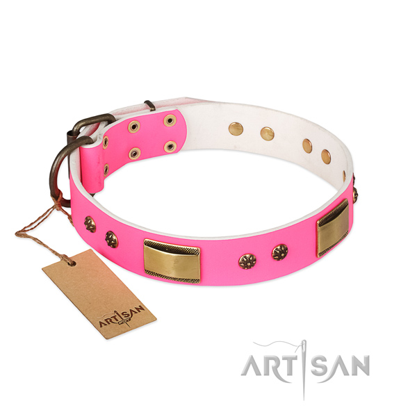 Incredible design embellishments on full grain natural leather dog collar