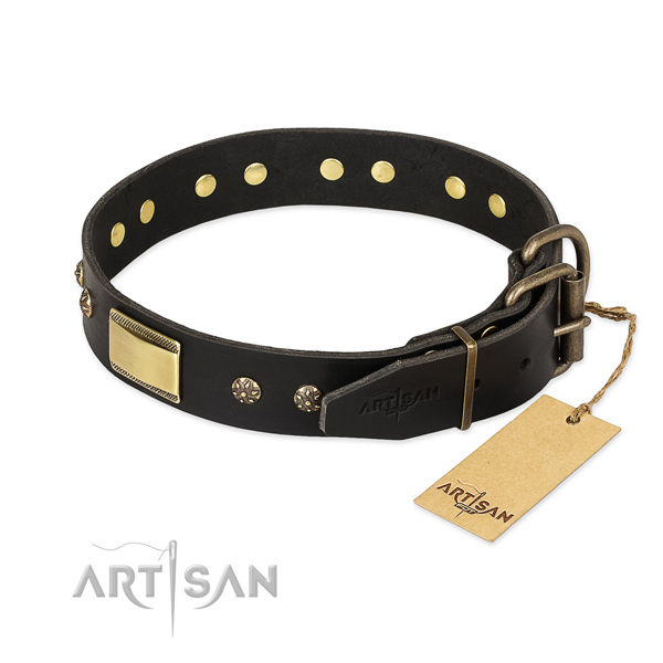 Significant design studs on full grain leather dog collar