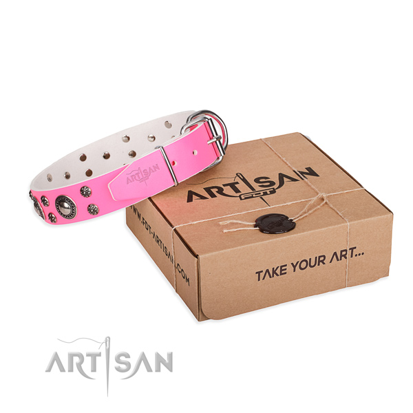 Everyday leather dog collar with fancy decorations