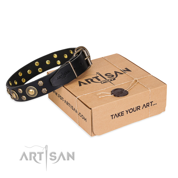 Day-to-day leather dog collar with stunning decorations