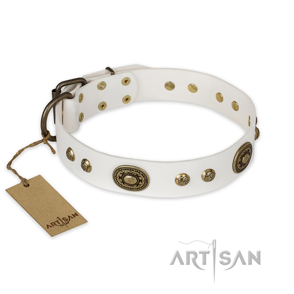 Trendy design embellishments on leather dog collar